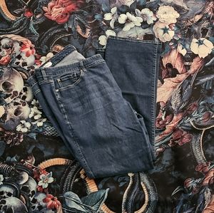 Torrid Slim Boot Jeans